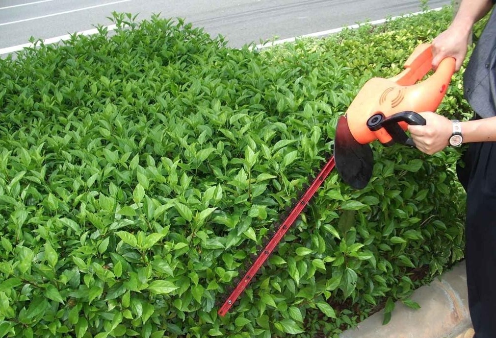 無(wú)錫園林綠化工程